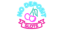 No Deposit Slots Casino No Deposit Slots Casino logo