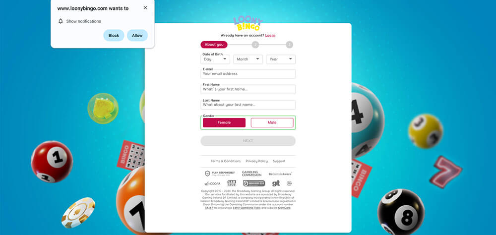 Loony Bingo Registration