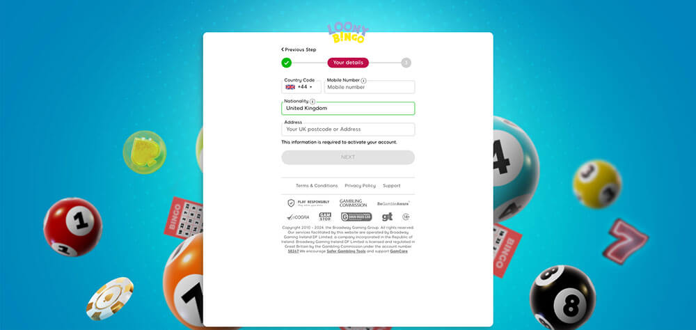Loony Bingo Registration