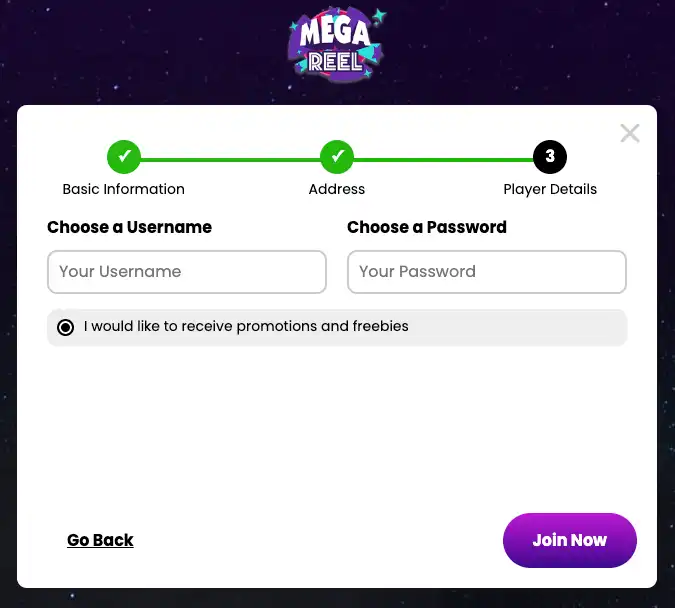 Mega Reel Slot Review