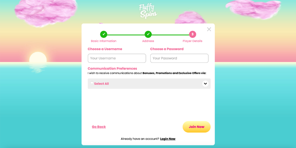 Fluffy Spins Registration step 3