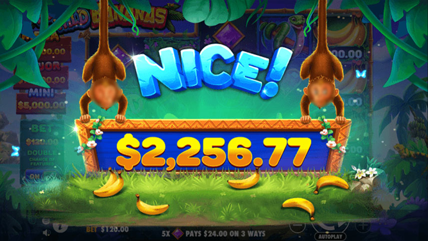 Wild Wild Bananas Slot Review