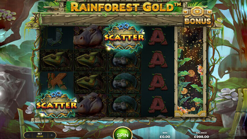 Rainforest Gold Slot Review