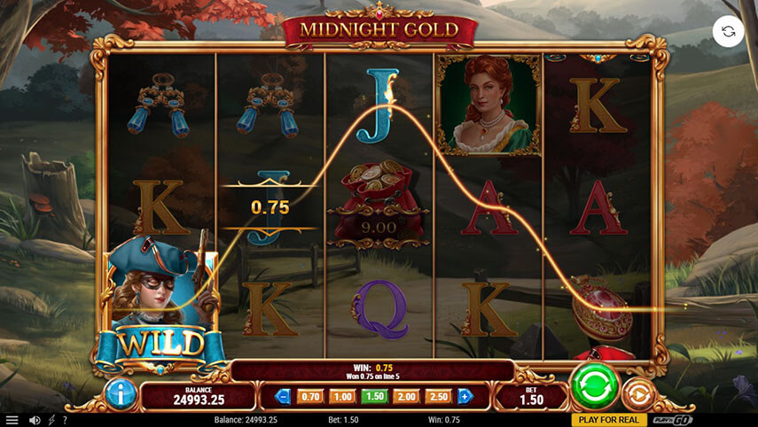 Midnight Gold Slot Game screenshot