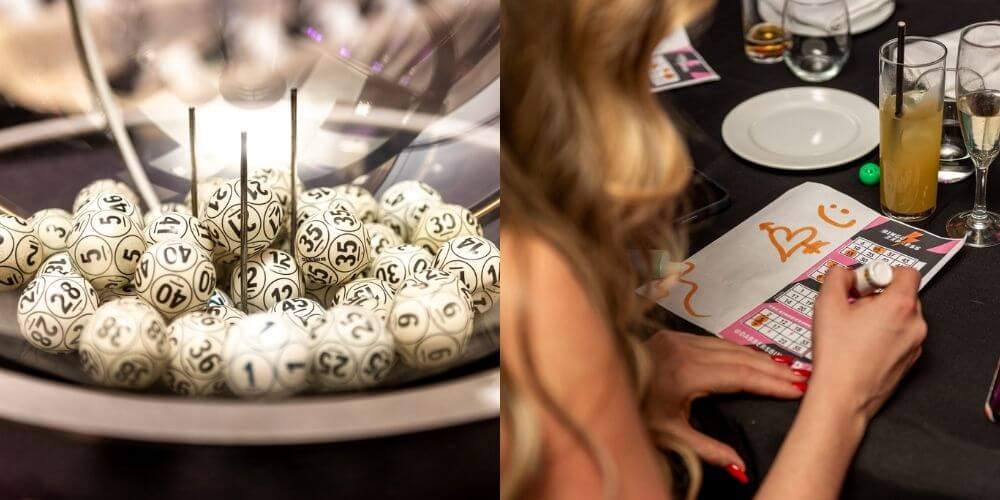 WhichBingo Awards